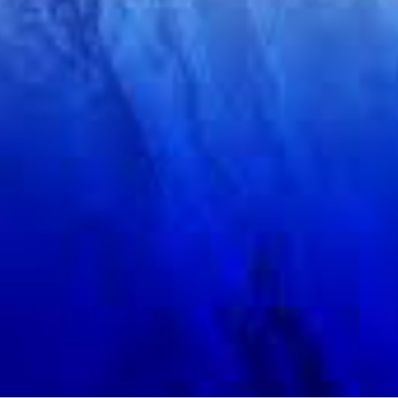 Meet your Posher, Liza - Picture 1 of 1